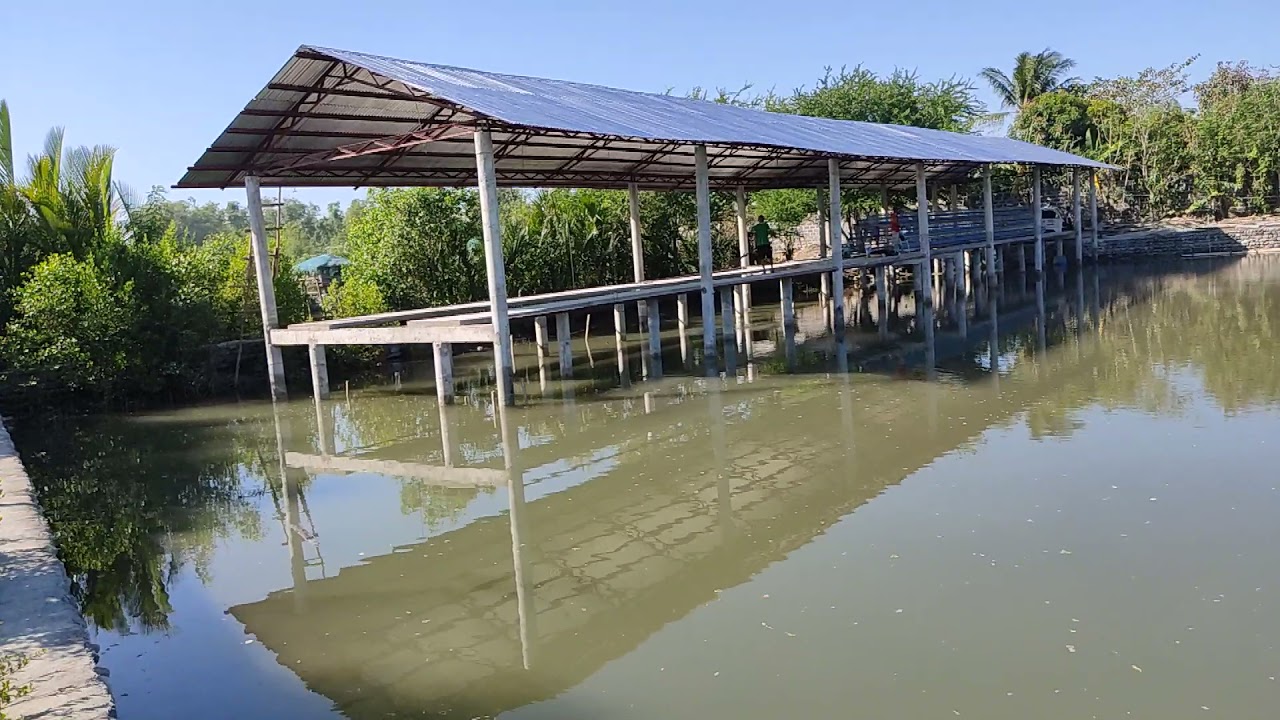 poultry layer house 4,000 capacity SA ibabaw Ng tubig ginawa Lang Ng 23 days