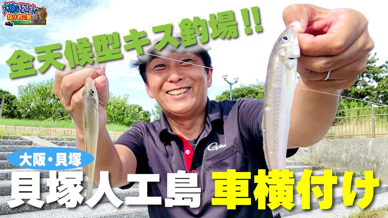 【ファミリーおすすめ貝塚人工島】釣り場は駐車場のすぐ目の前‼︎ 綺麗なトイレ有り＆自販機有りの至れり尽くせりキス釣り場❤️おまけに釣れる‼︎  大阪府貝塚市 R6.9.24【大輔のとことん投げ釣り塾】