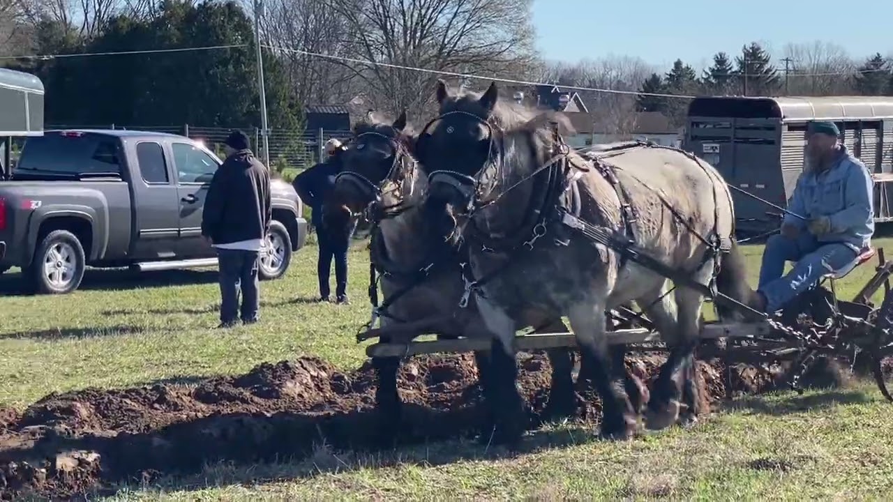 first plow-day of 2024