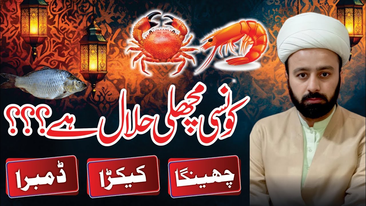 halal and haram fish 🐠 seafood shia ahkaam jheenga halal he ya nahi kekraa halal he ya nahi 