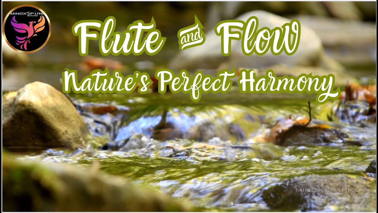 Flute & Flow - Nature's Perfect Harmony | Instrumental Music | Doremi Anjali | MindXSpark