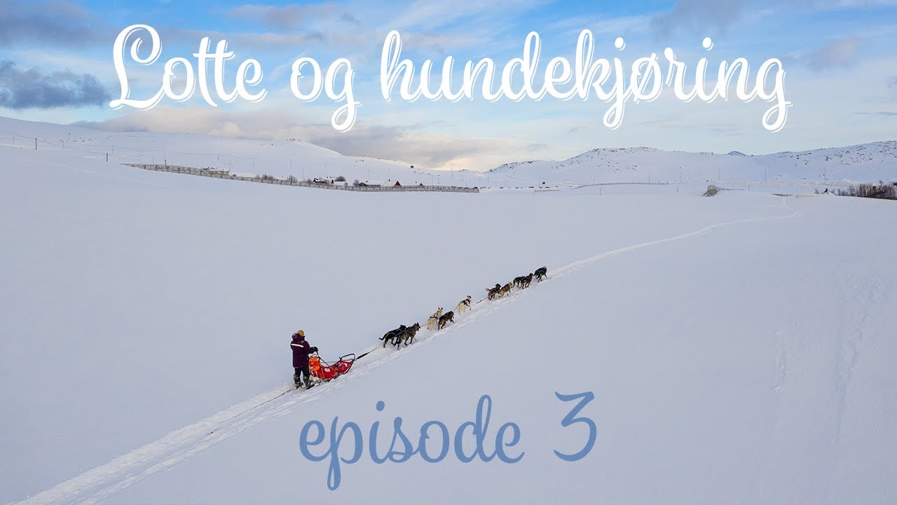 Lotte og hundekjøring   valpespannet del 2