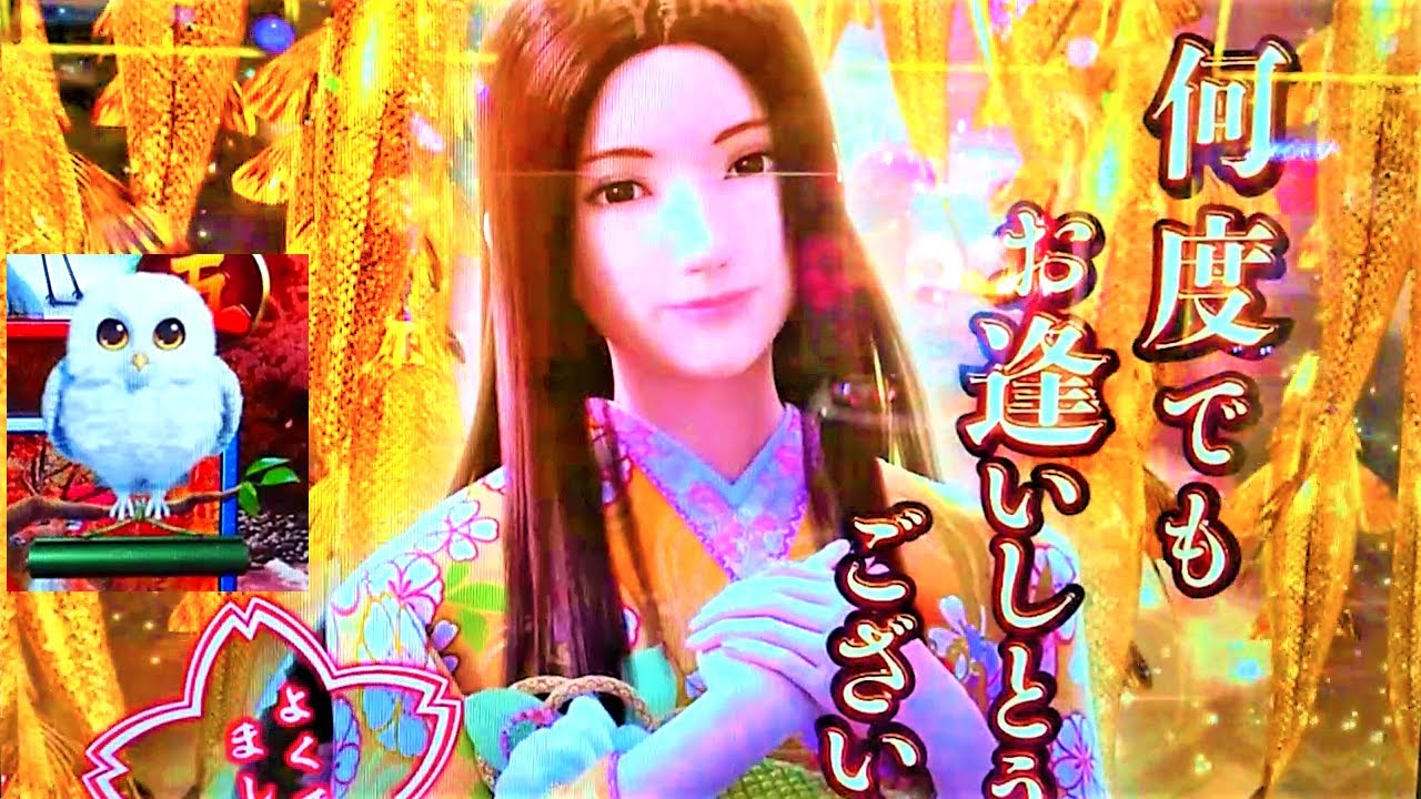 白くてカワイイやつが飛来！金鯉群も発生！撮れ高UPで贈る  PF真花月2夜桜バージョン を パチンコ実践 ！ご好評につき、おかわり決定！の巻