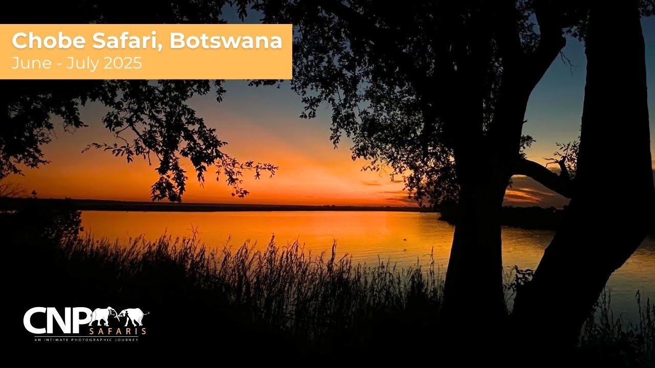 CHOBE RIVER Photo Safari June/July 2025
