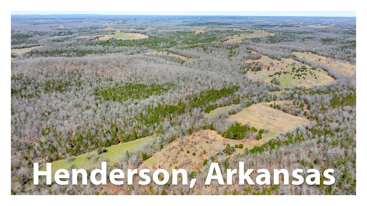 Land for Sale | County Road 232 Henderson, AR 72544 Listed at $3,245,650