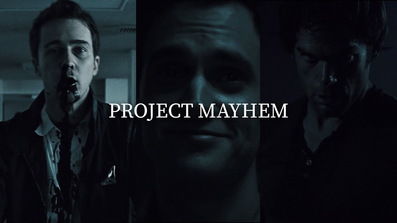 Project Mayhem | Literally Me