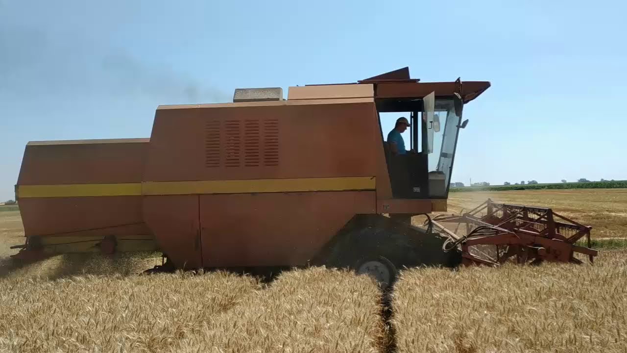 Zmaj 143 zetva psenice 2020