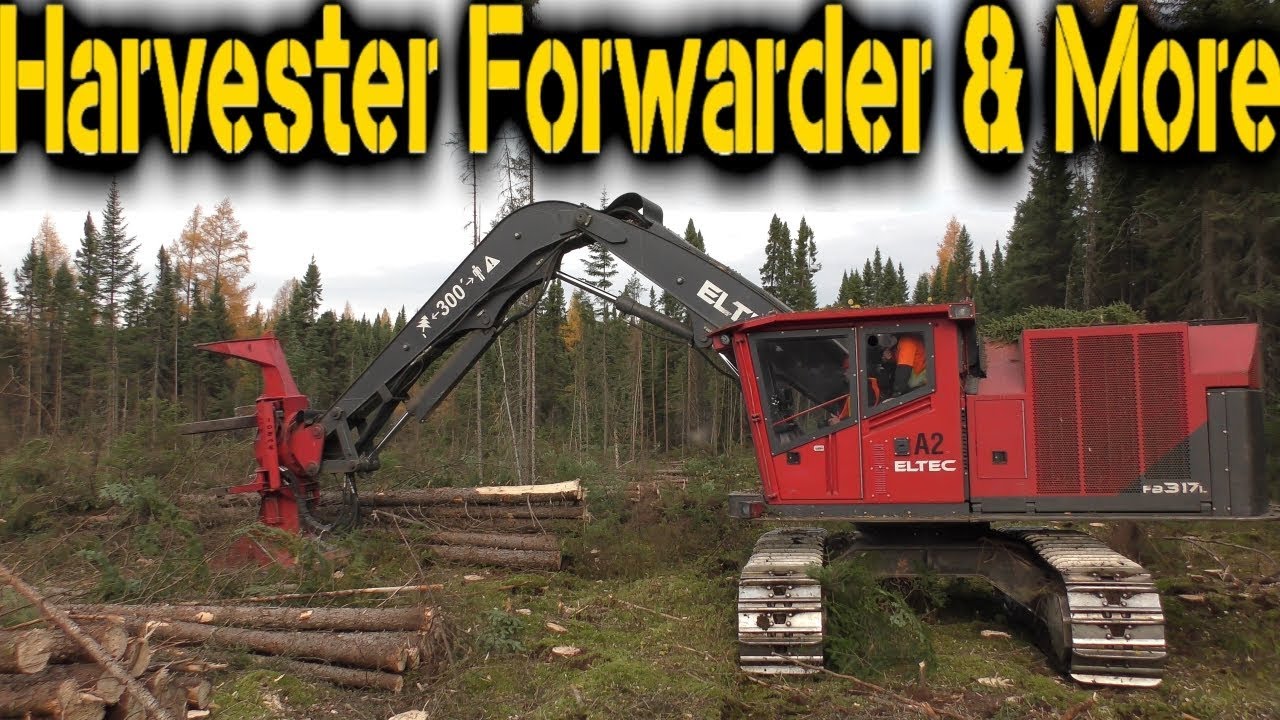 Eltec Feller Buncher FB317L