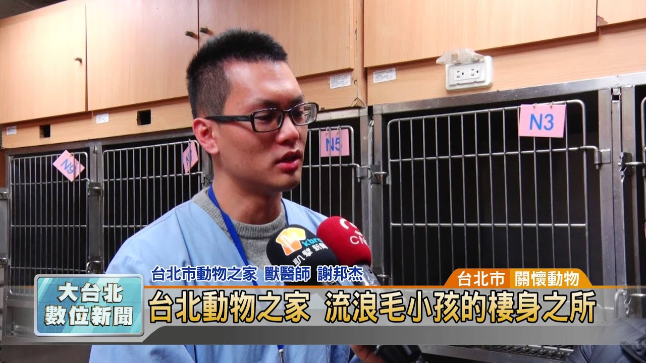 20160225 台北動物之家 流浪毛小孩的棲身之所 (凱擘大台北數位新聞)