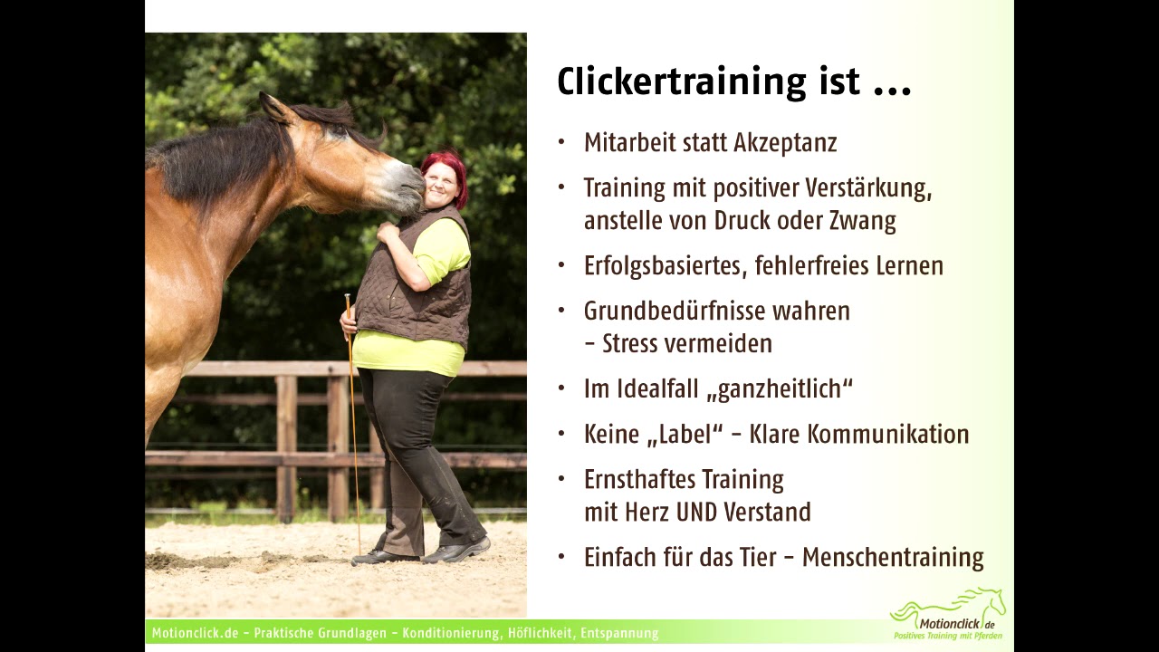 Videokurs: Praktische Grundlagen im Clickertraining