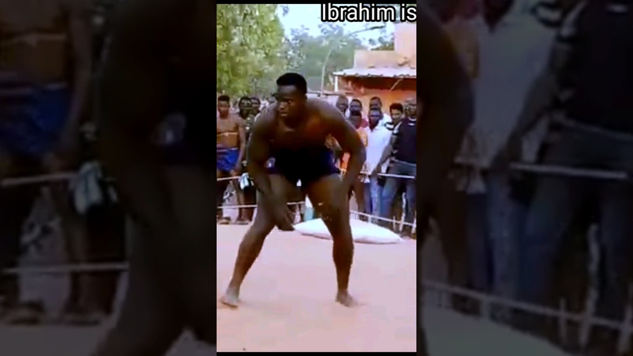 kokowa aibo da Zakiru zakari