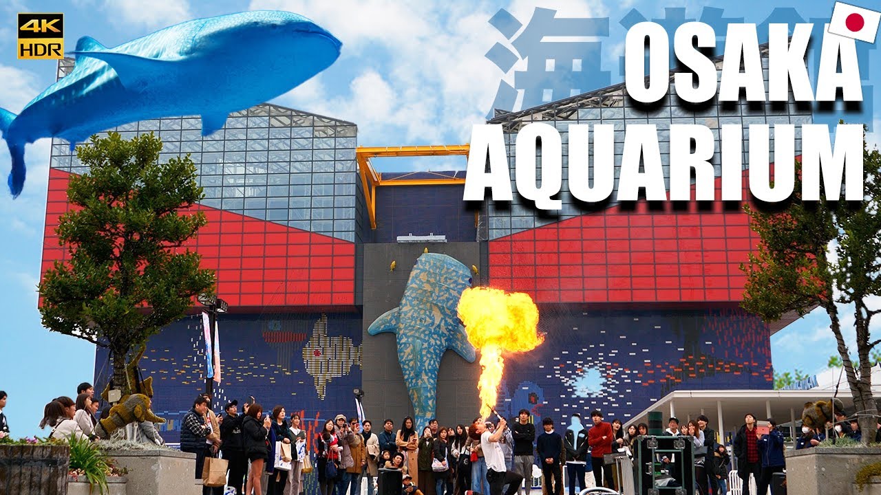 🇯🇵Osaka Aquarium 