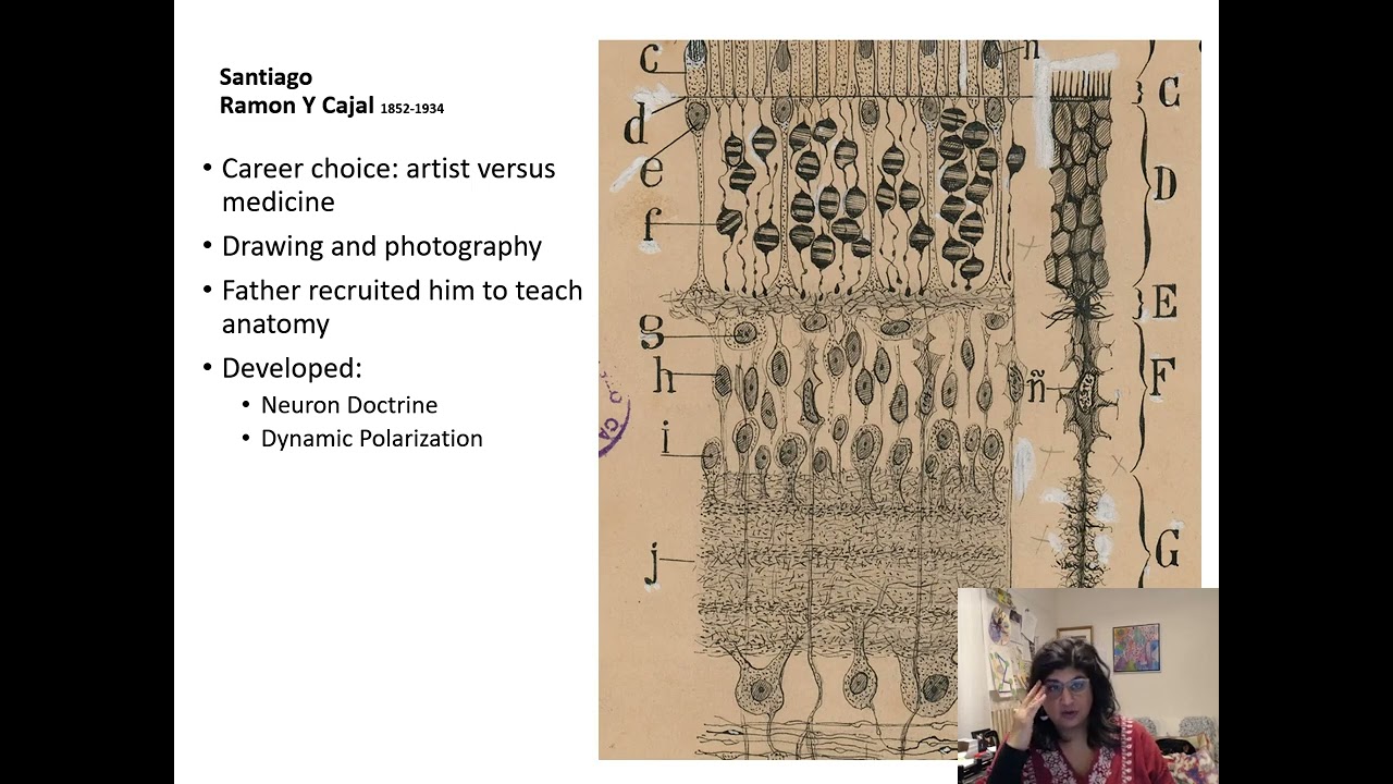 Introduction to Art Therapy and Neuroscience Basics Part 1