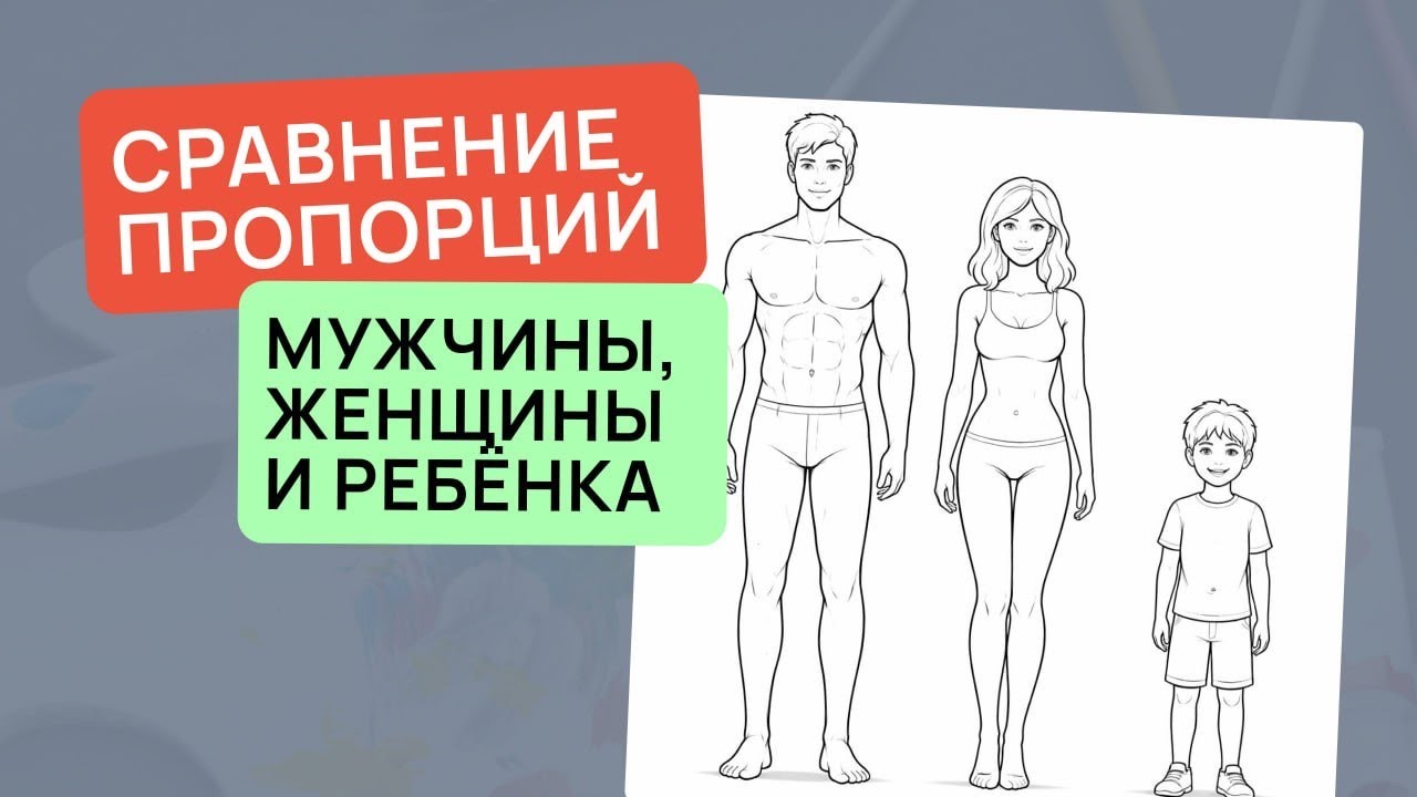 Сравнение пропорций мужчины, женщины и ребёнка