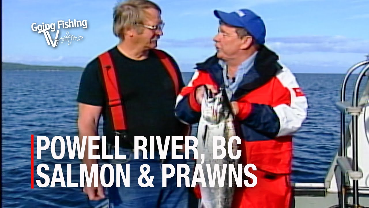 Powell River Salmon & Prawns with Bert Penny