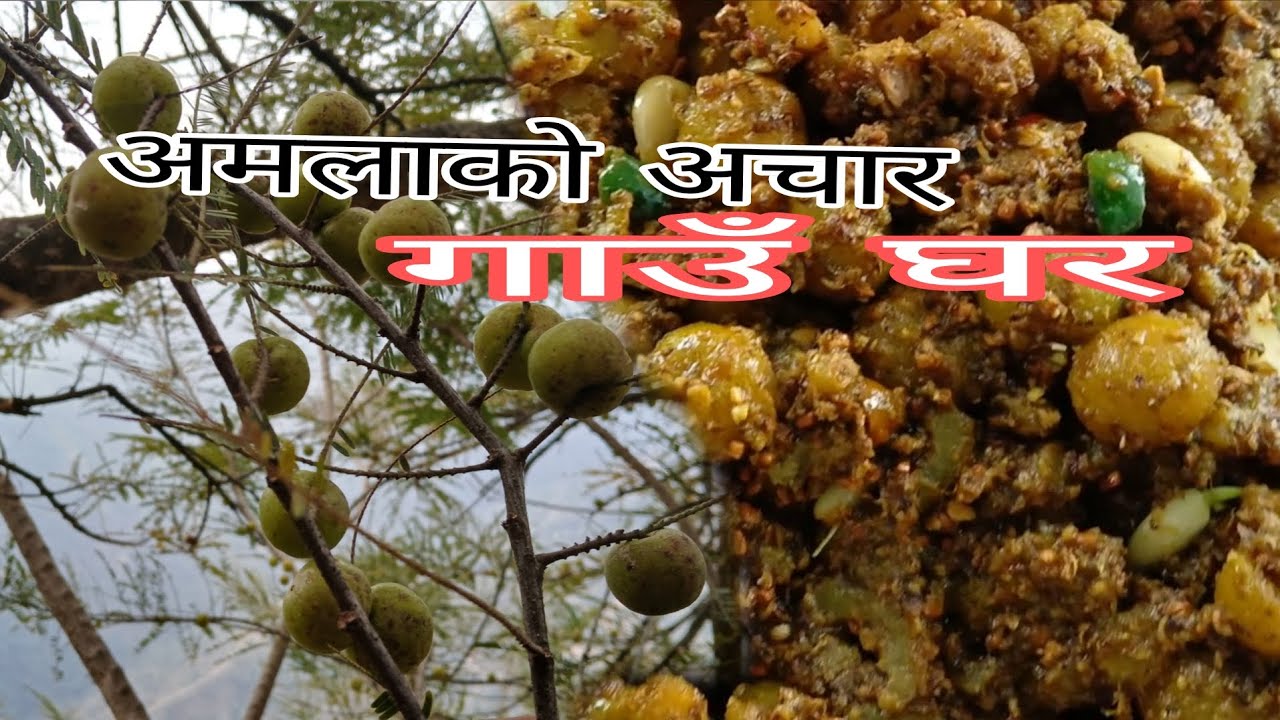 लु अमलाको अचार आयो है  😂 alikati dhila vayxa  vlog halnu  गाउँ घरमा सिजन अनुसार अचार बन्छ है 
