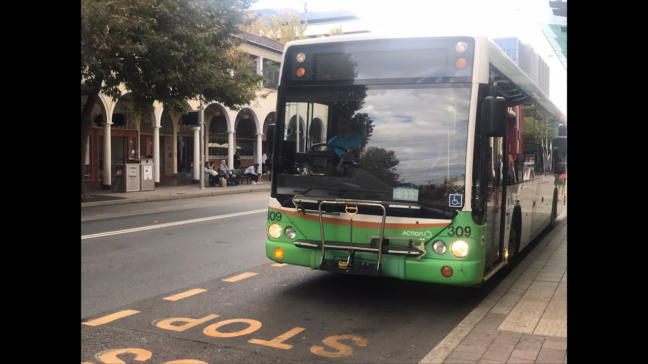 Action bus 309 LOUD ZF