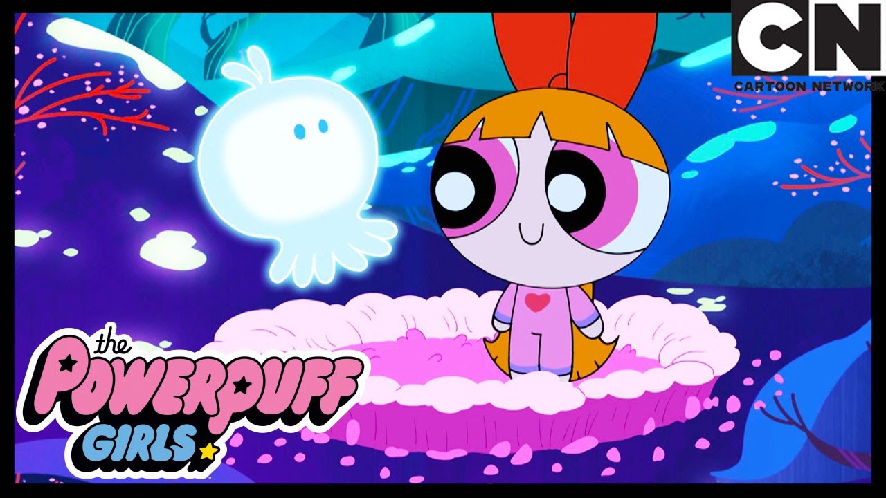 O Arquivo Florzinha | As Meninas Superpoderosas | Cartoon Network