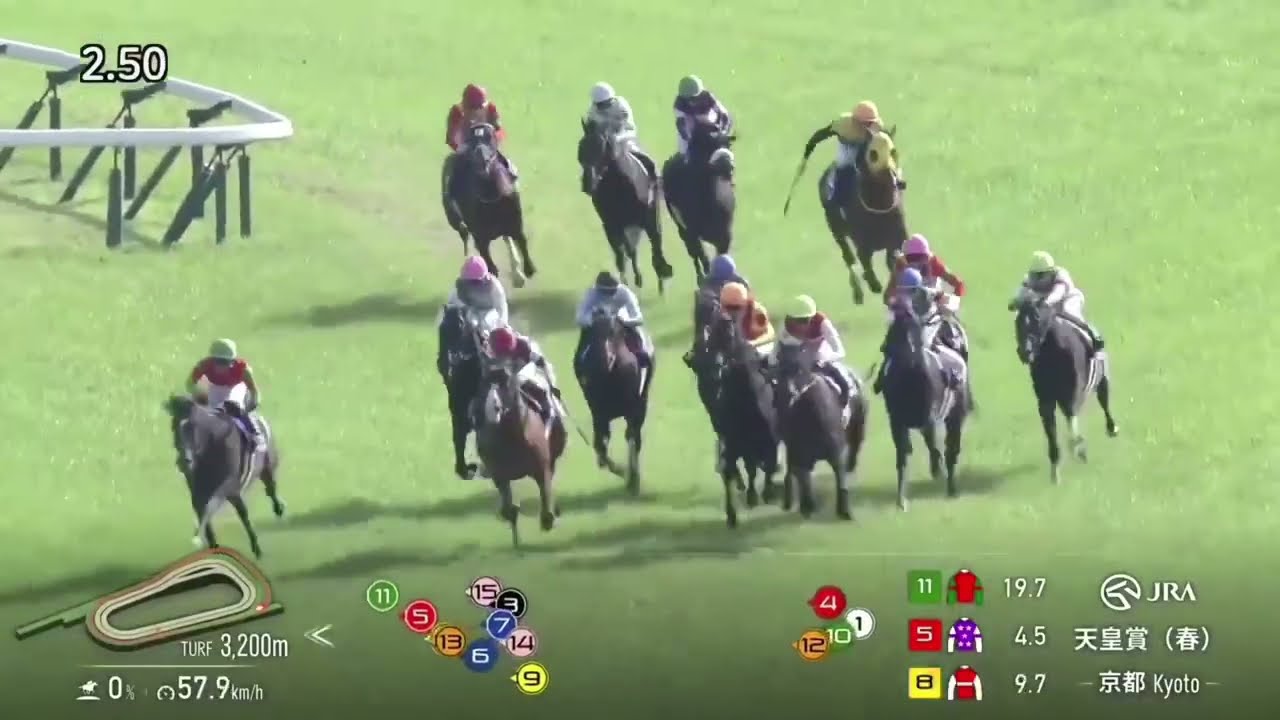 2025年 天皇賞(春)(G1)(ヘデントール、D.レーン)