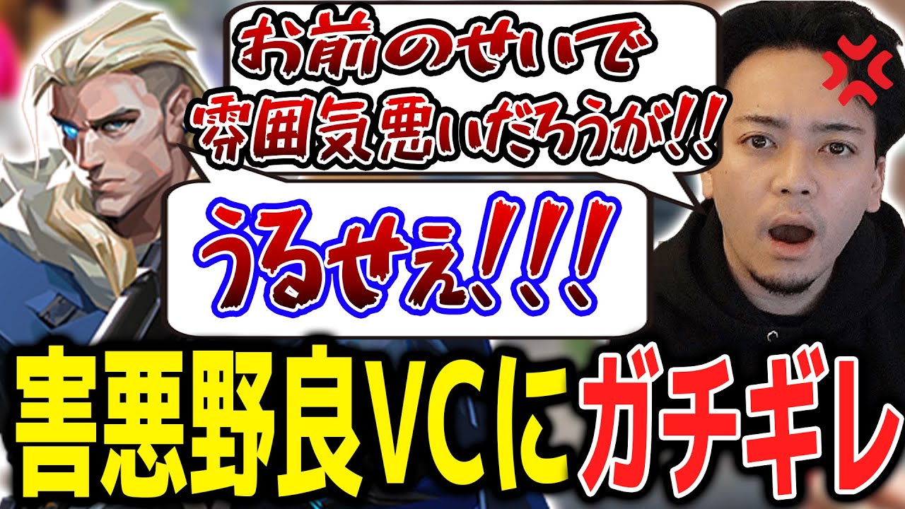 雰囲気を悪くする害悪野良VCとガチ喧嘩するボドカ【ボドカ／切り抜き】