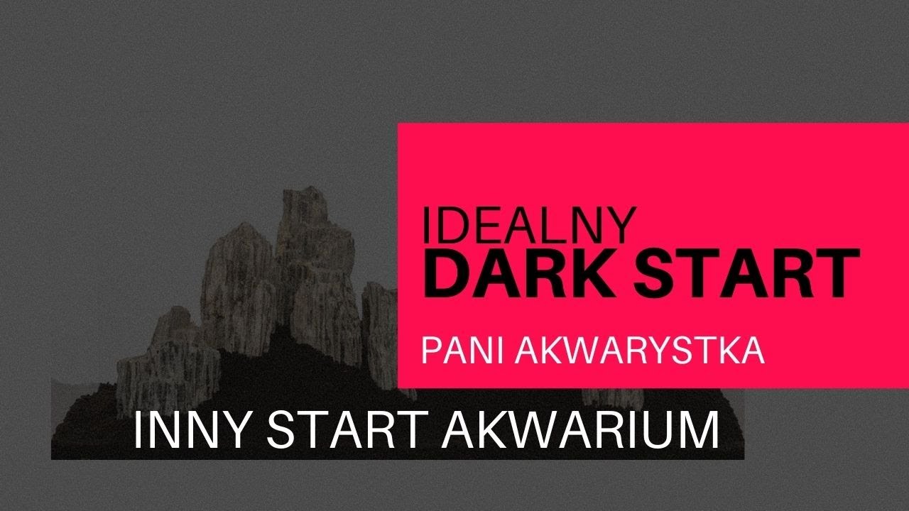 Dark Start w akwarium. Co to jest i jak to zrobić?   | Pani Akwarystka