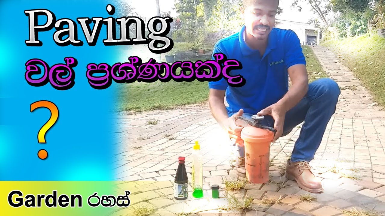 interlock paving ගල් අතරින් වල්ගස් වැවෙන එක ඔයාටත් ප්‍රශ්නයක්ද ?