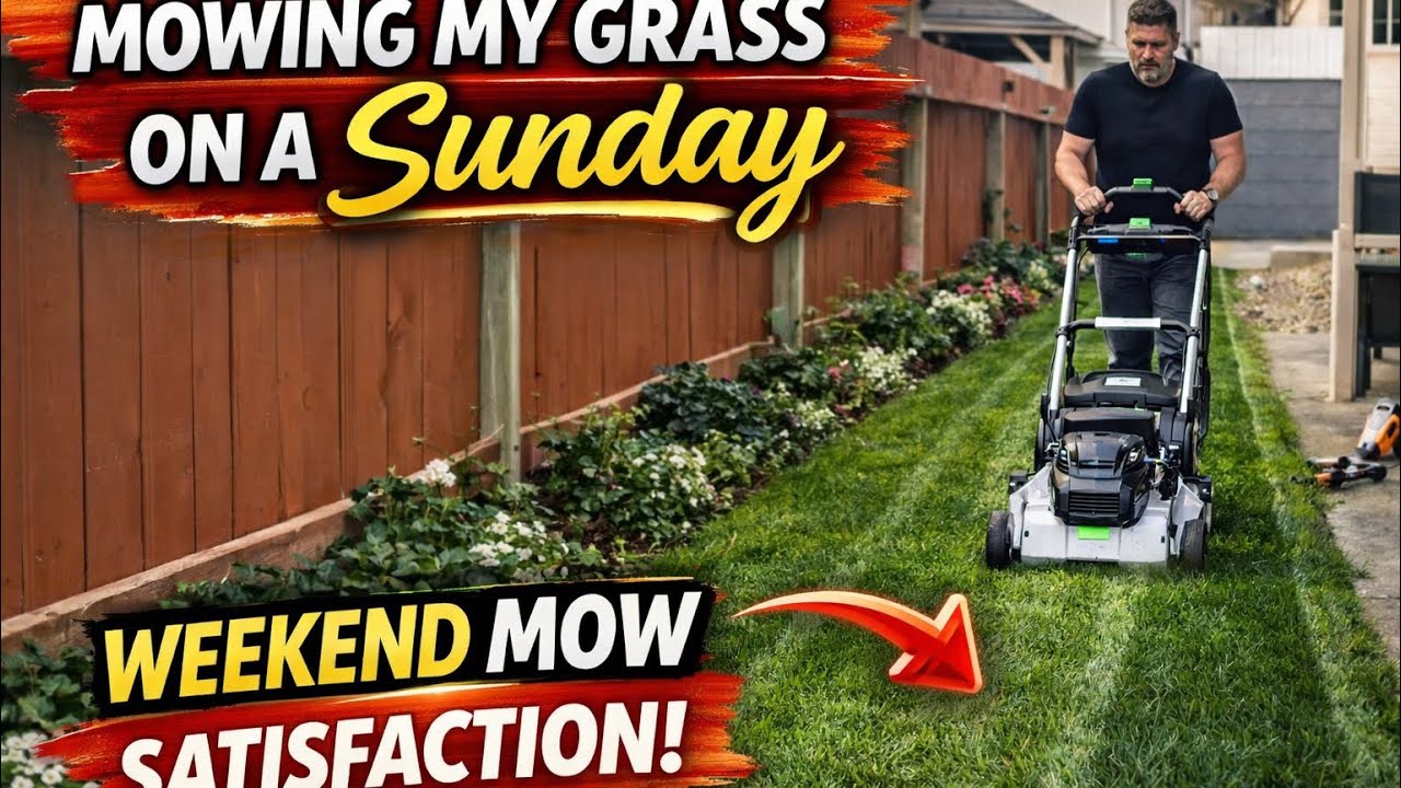 Sunday Lawn Reset 🌱 | The Most Satisfying Grass Cutting this year