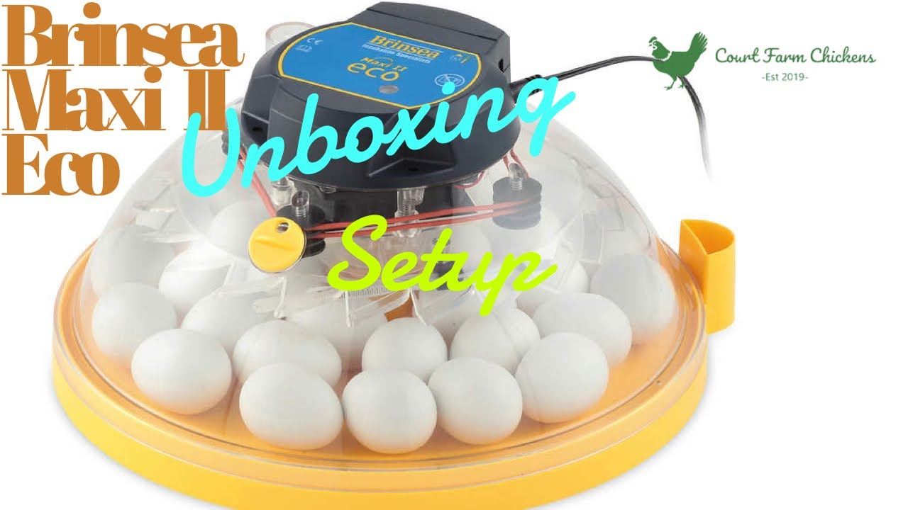 Brinsea Maxi II Eco Incubator - the best budget egg incubator? Unboxing!