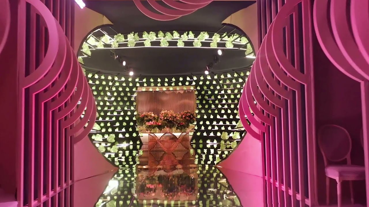 Behind-the-scenes Design And Production Of A Phenomenal Wedding in Qatar !
