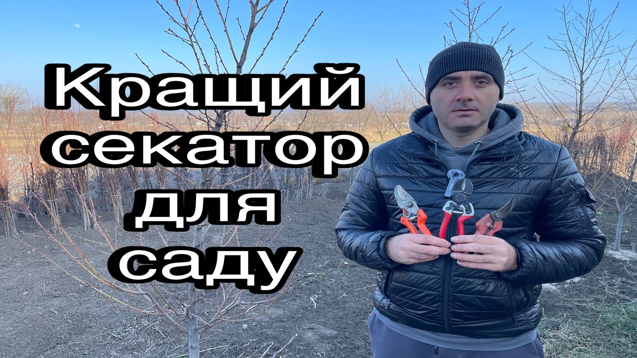 Який секатор обрати для саду. Кращий секатор для саду. Огляд секаторів.