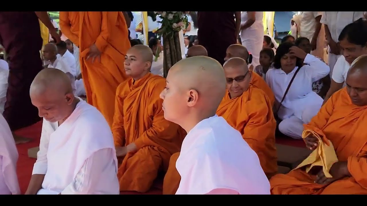 සම්බුද්ධත්වයත් සමග සොදුරු සංවාදයක ඇරඹුම..නිහඬ අරණ