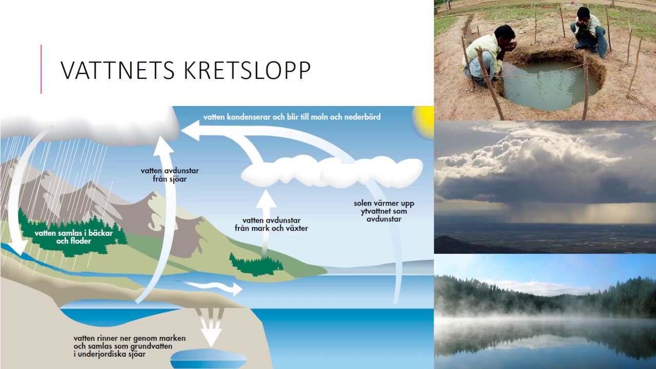 Vatten i naturen