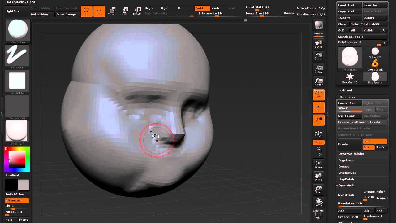 Do This! Sculpting Form vs Line or Proportions