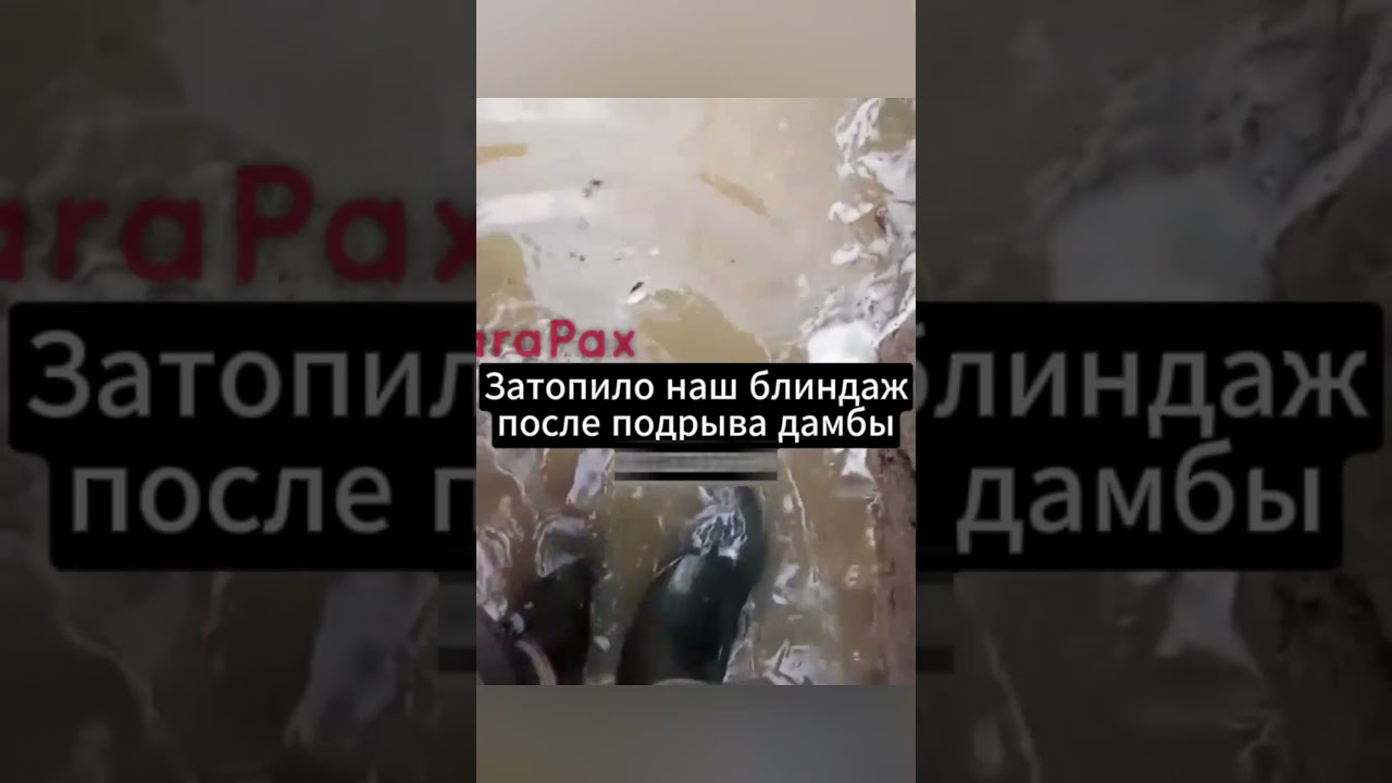 Вода топит блиндажи ВС РФ после разрушения Белгородской дамбы