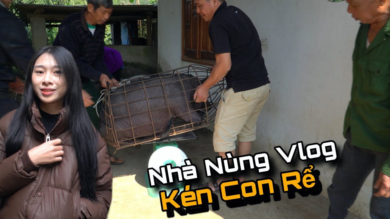 Mẹ Nùng Chơi Lớn Mổ Con Lợn Gần 100Kg Để Tuyển Rể Cho Em Gái Nùng...!