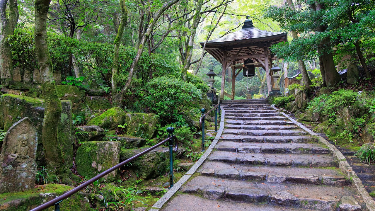Rain Walk on Forest Path through Mitaki Mountain Temple | Hiroshima, Japan