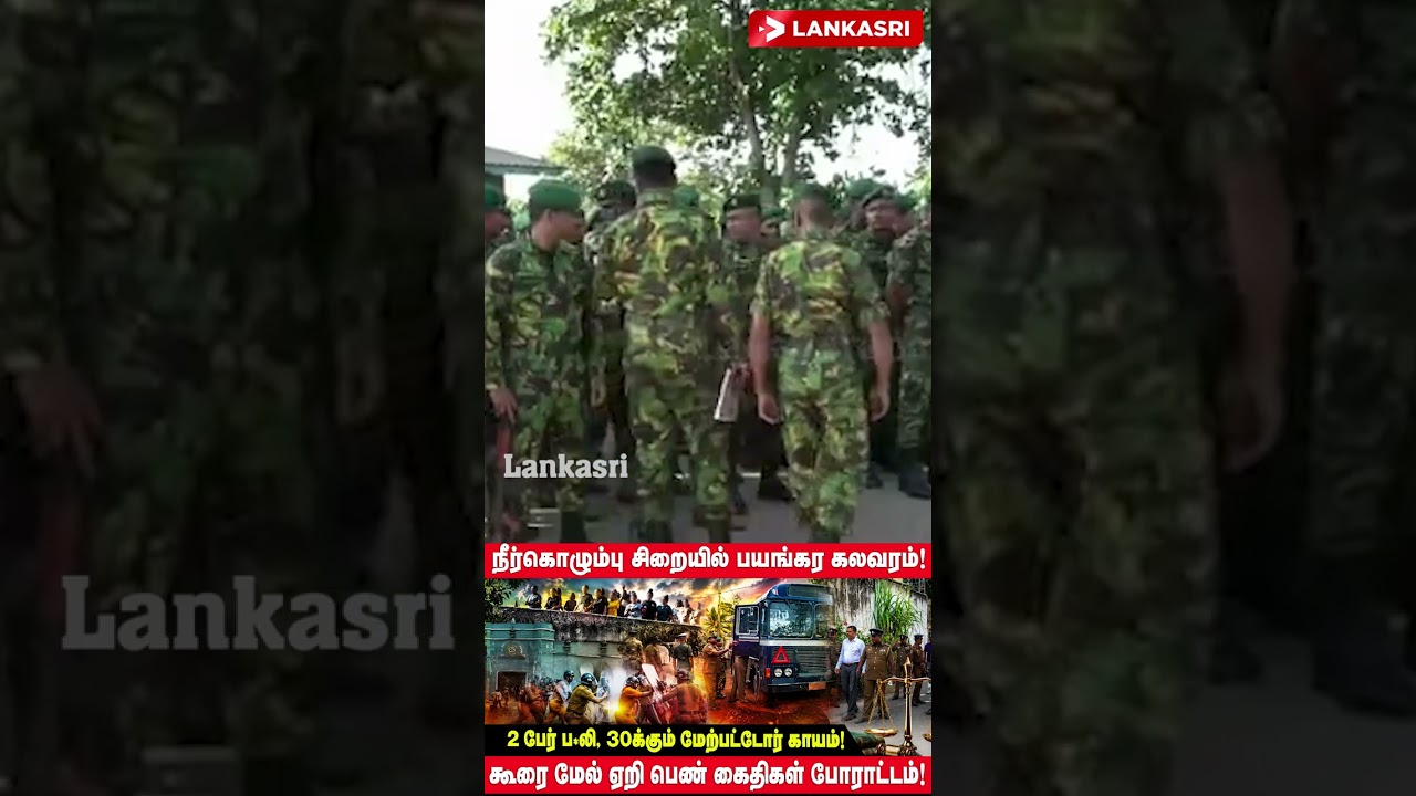 நீர்கொழும்பு சிறையில் கைதிகள் மோதல்: கூரை மேல் ஏறி பெண் கைதிகள் போராட்டம்! | shorts