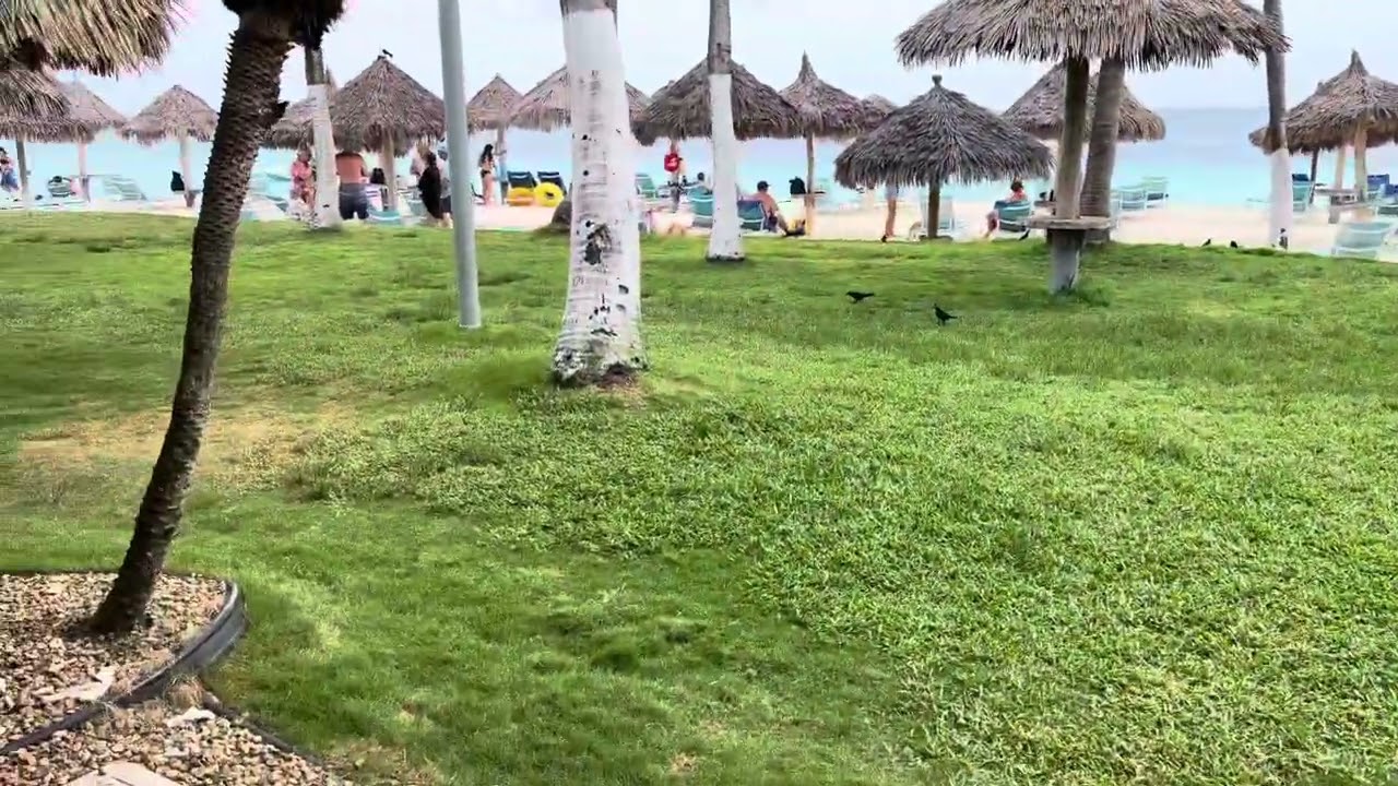 Divi All Inclusive Aruba Ocean Front
