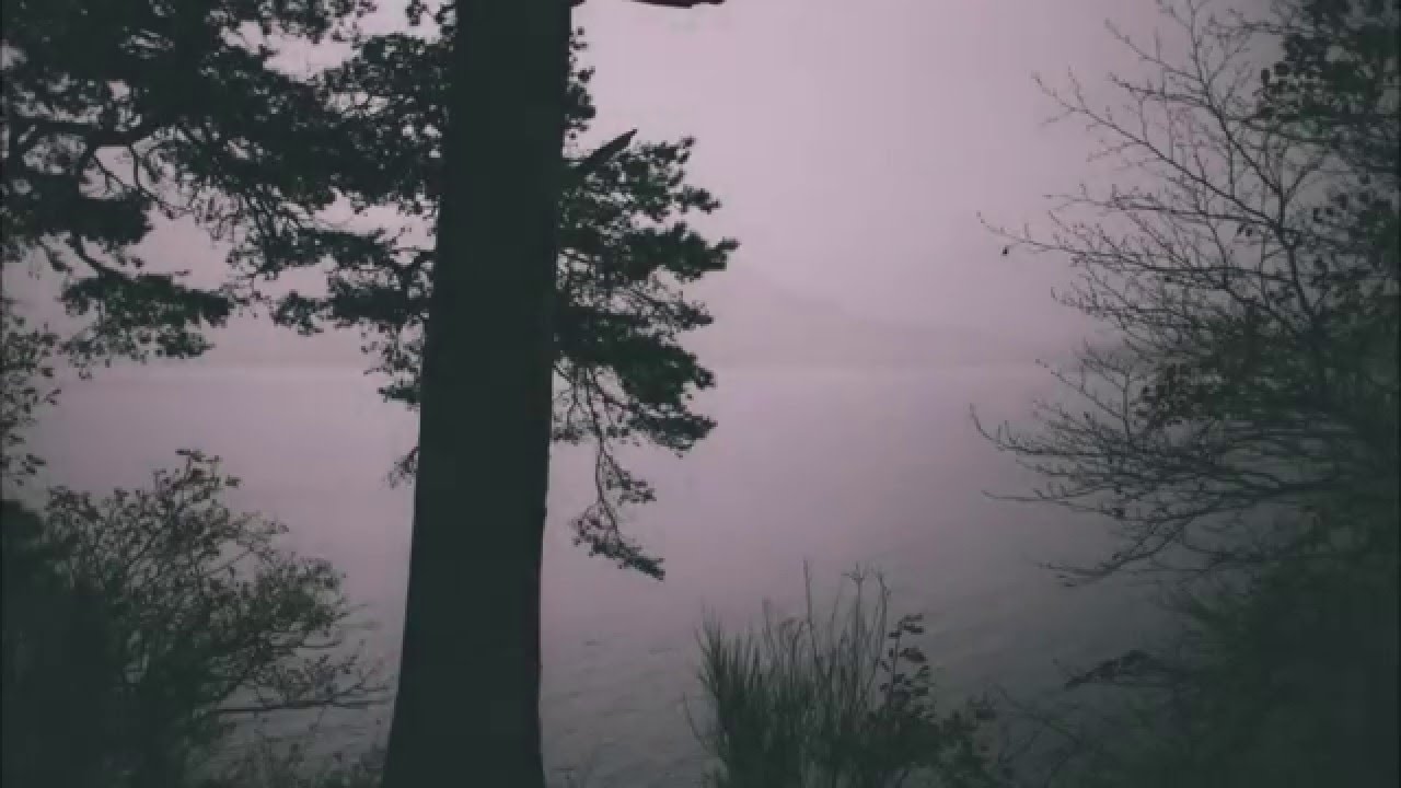 Babbit - Painting Greys
