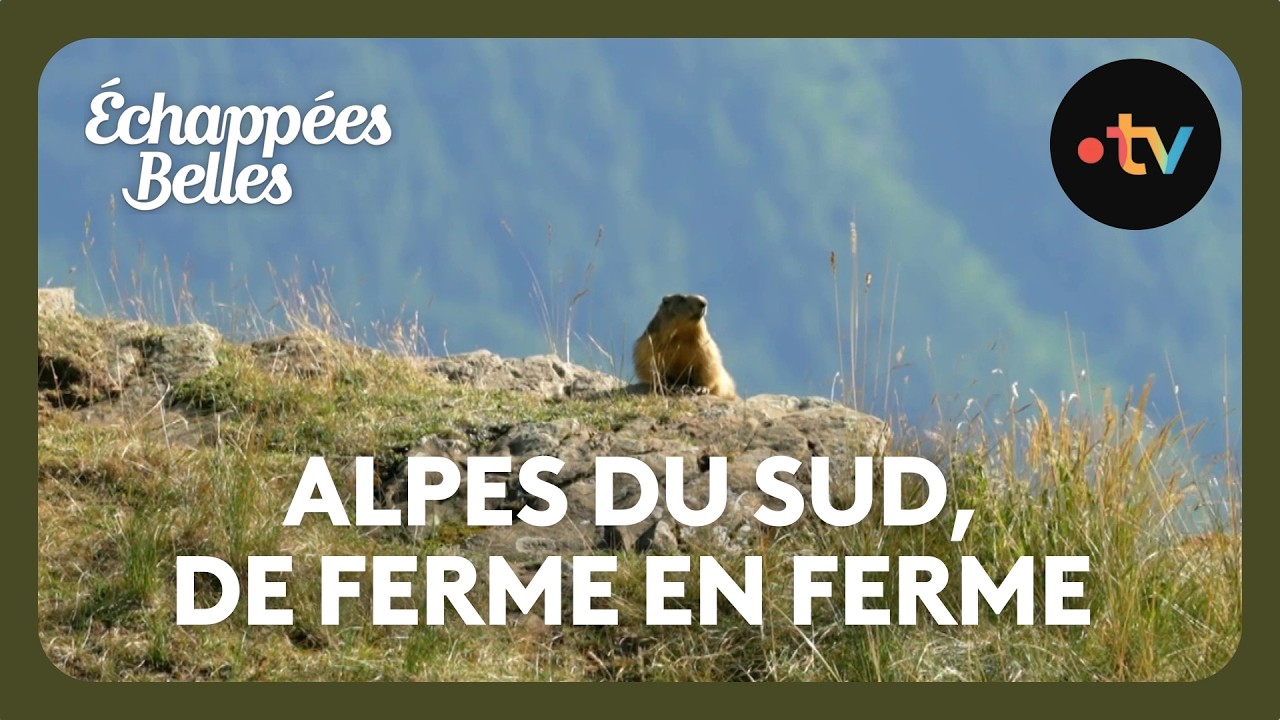 Échappées belles - Alpes du Sud, Méditerranée, de ferme en ferme