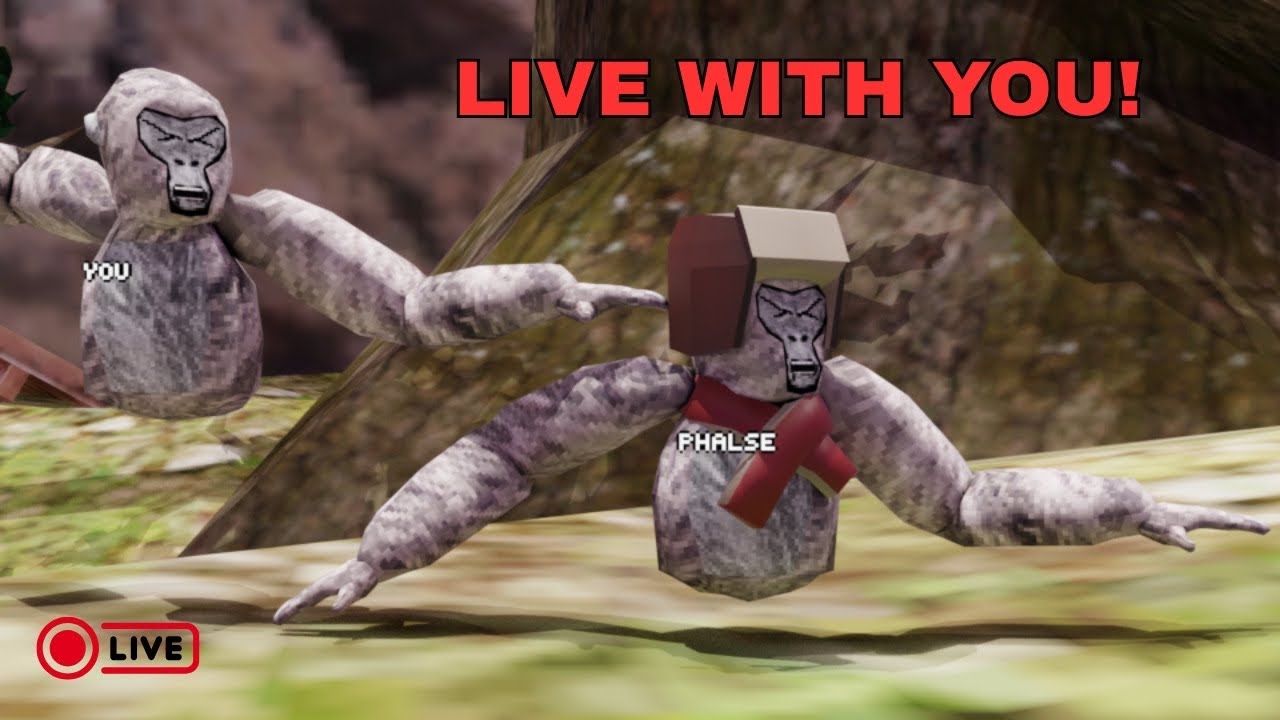Gtag Live With You!