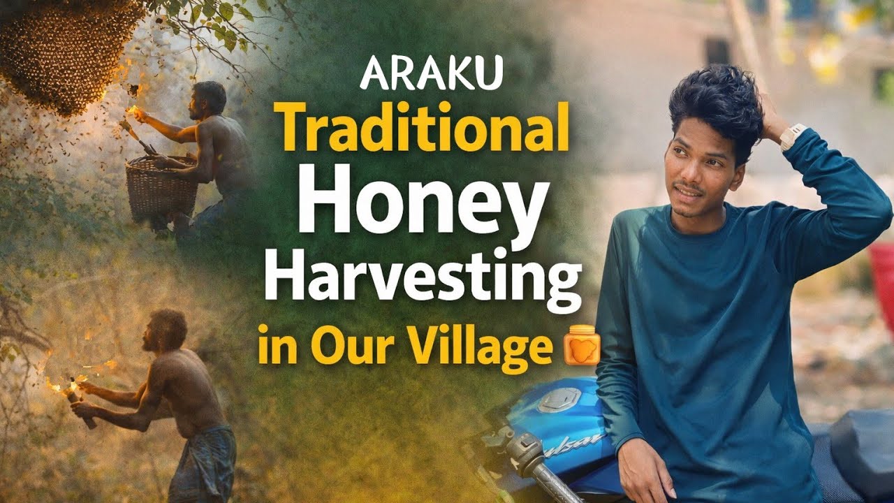 మా గ్రామంలో సాంప్రదాయ తేనె సేకరణ/traditional honey harvesting in our Village #honey #Trending#vairal