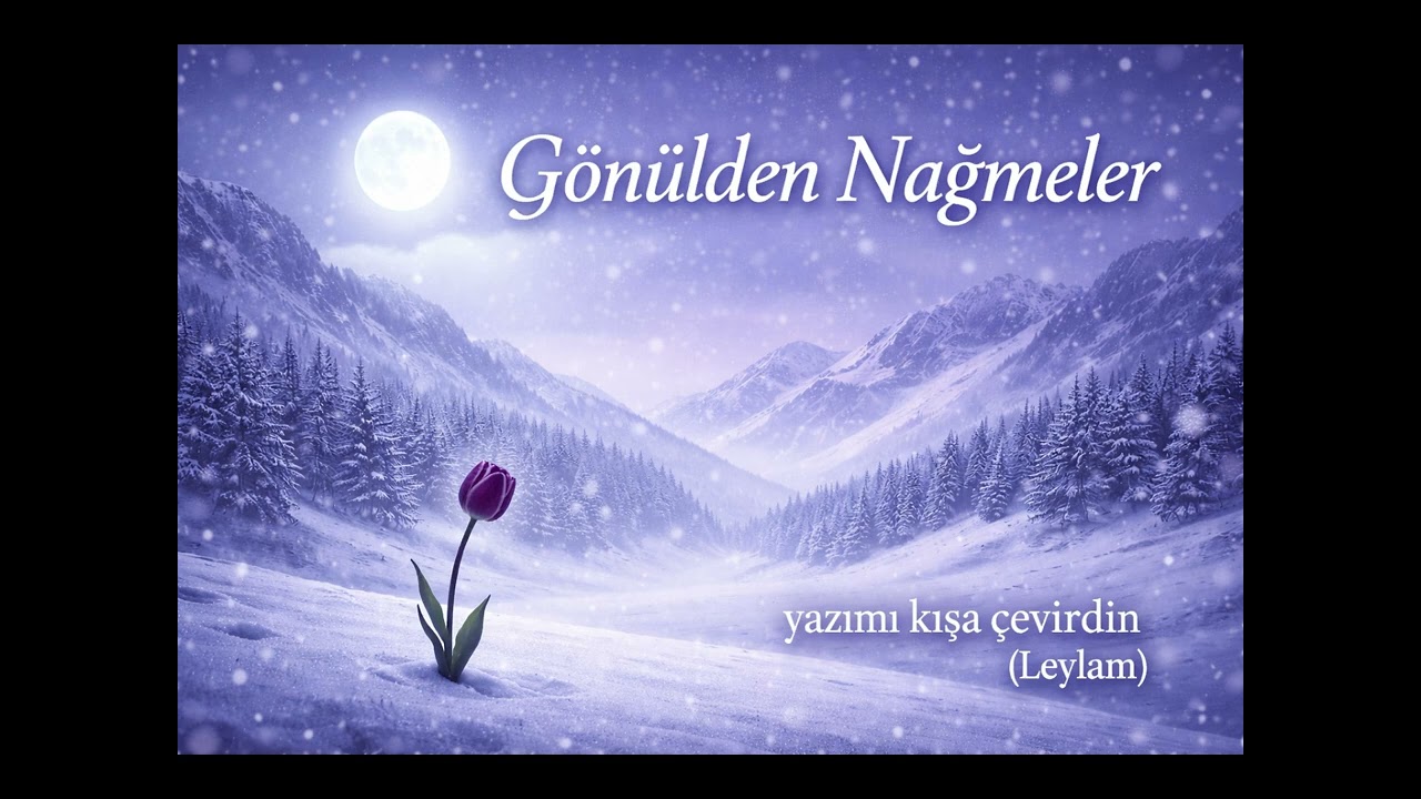 Yazımı Kışa Çevirdin Leylam (Cover) Türkü