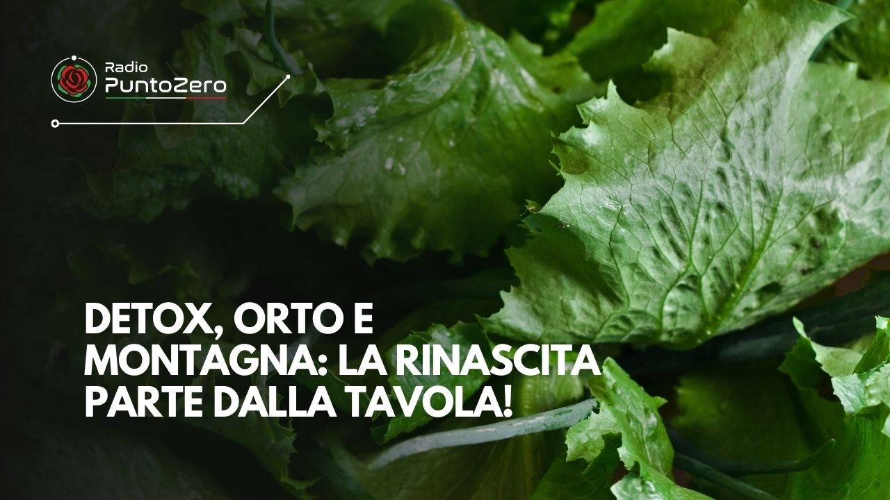🌿 Detox, Orto e Montagna: La Rinascita Parte Dalla Tavola! 🍎