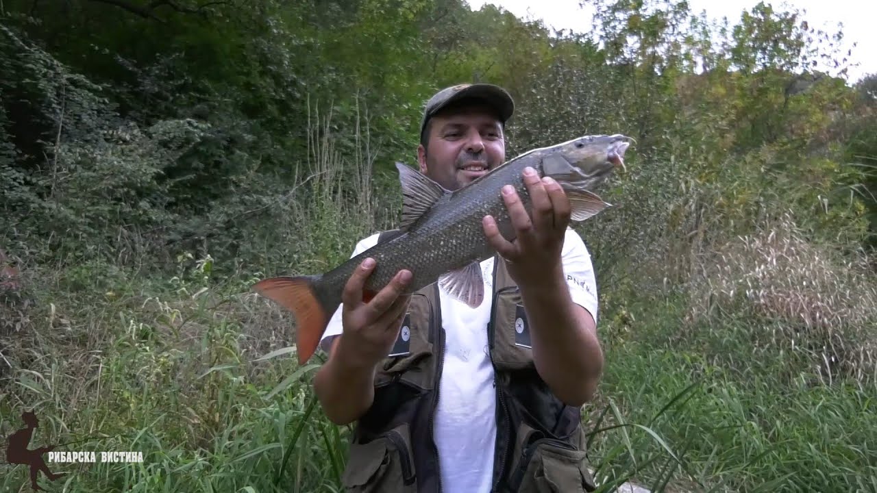Ribolov na bela mrena na Crna Reka 2 del. #fishing #ribolov - premiera  06.11.20 nedela vo 19 casot