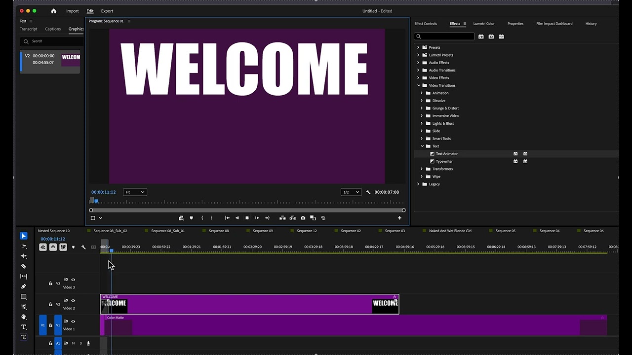 Animate video TITLES using Premiere