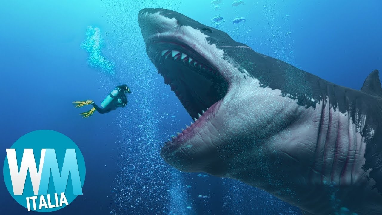 10 CURIOSITÀ PAZZESCHE sul MEGALODONTE!