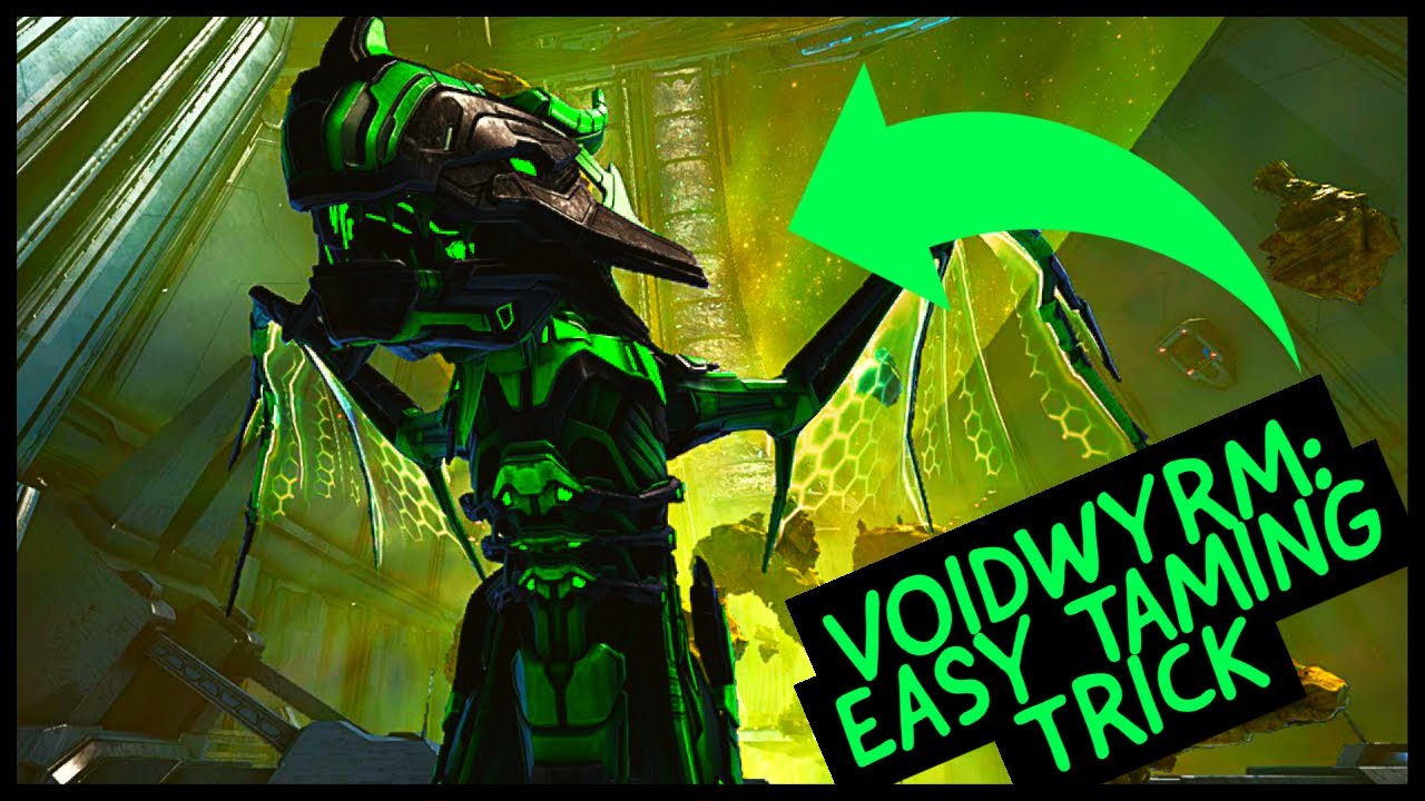 VOIDWYRM: EASY TAMING TRICK!!!