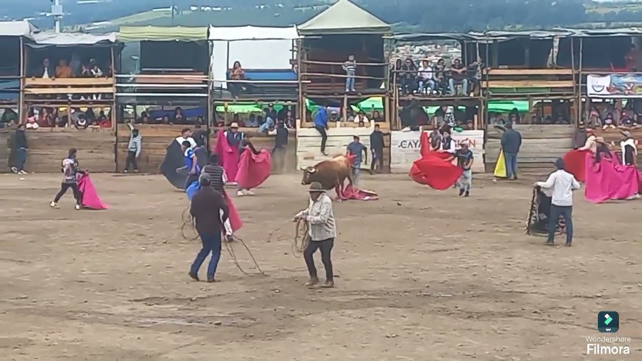 TOROS CAYAMBE DOMINGO 2025 7 DE JULIO