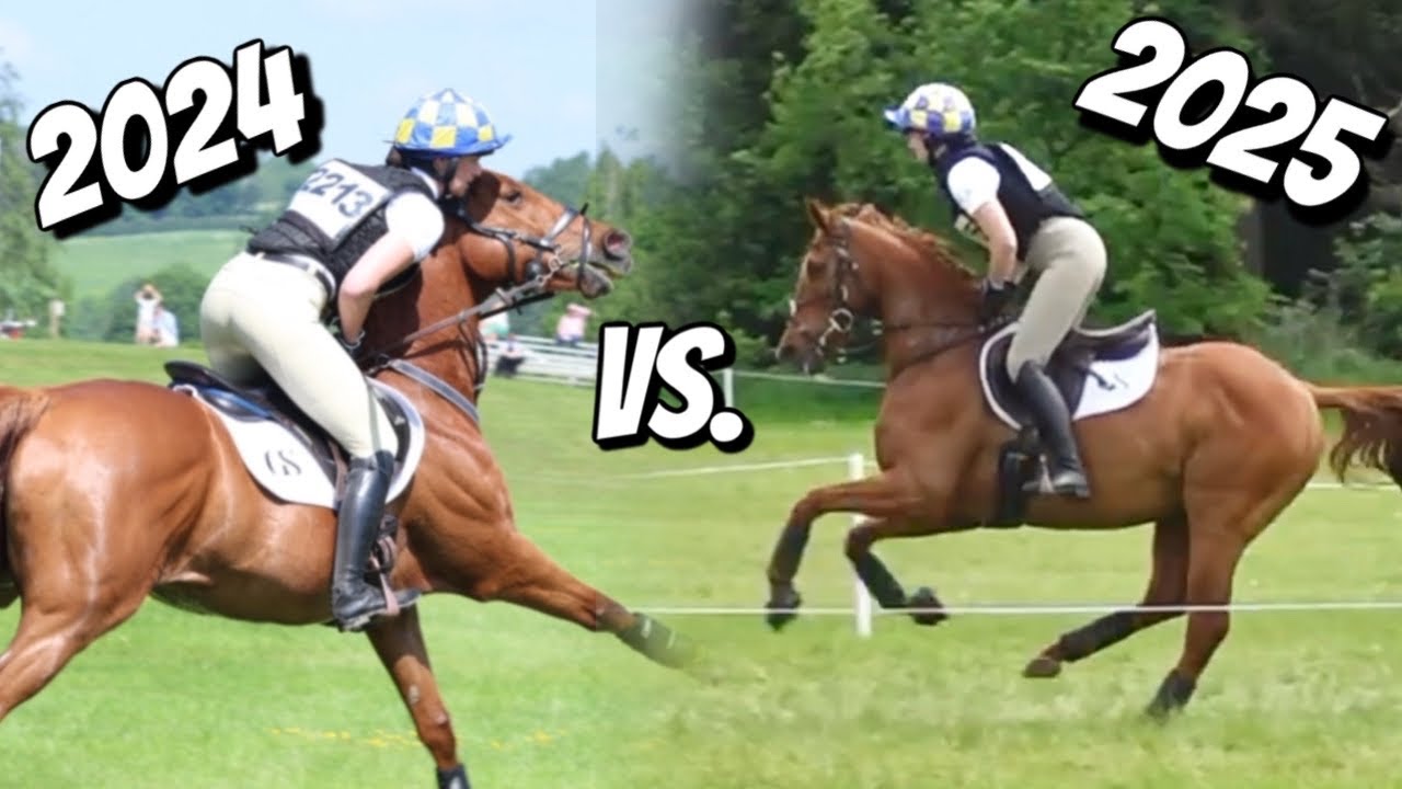 My Ex-Racehorse’s Journey: From CHAOS to CONTROL (2024–2025)